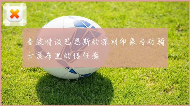 香波特谈巴恩斯的深刻印象与对骑士莫布里的信任感
